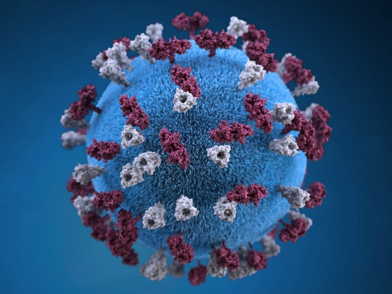 Danmark kunngjør utvikling av global immunitet mot koronavirus