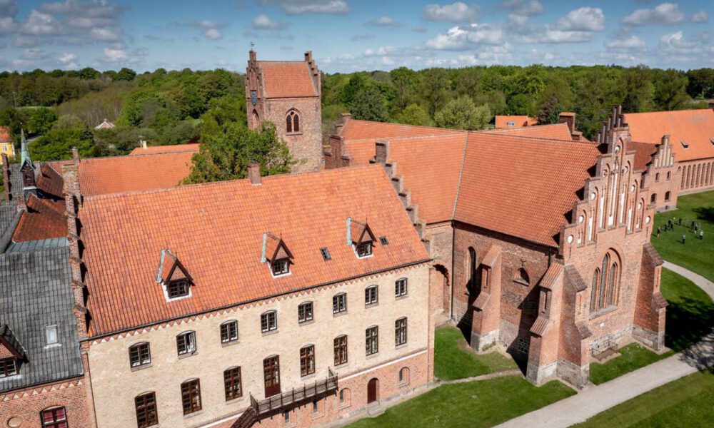 En inngrodd kultur for vold og mobbing ved en prestisjefylt dansk skole har blitt avslørt